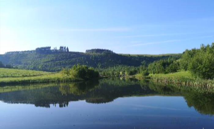 Towards the hill